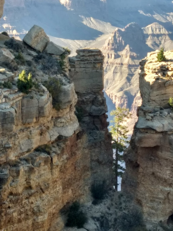 taxifun beau mot beauté la beauté le beau beauté de la nature grand canyon pastel roche arbre solitaire taxi anglais le specialiste du taxi anglais en france mot spirituel actu taxifun black cab taxi londonien publication