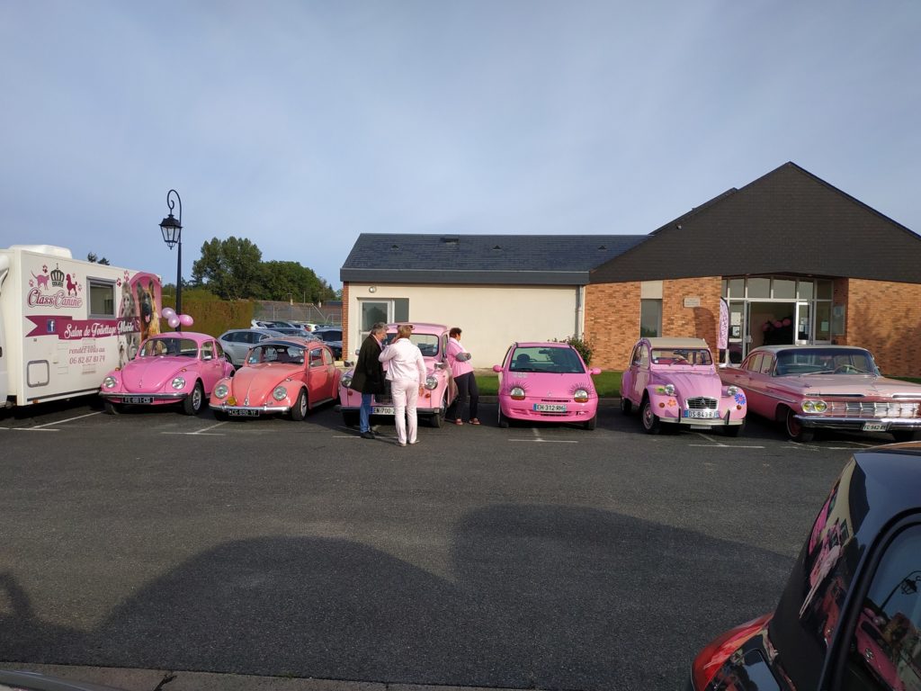 Octobre Rose 2019 TaxiFun